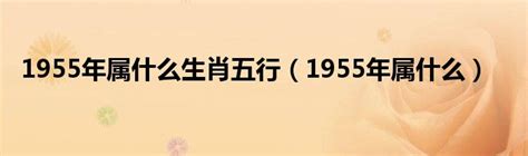 1955属什么 五行號碼